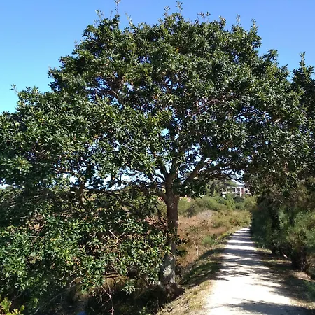 Szálloda Casa De Verdes - In De Bergantinos San Pelayo