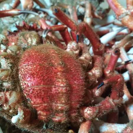 Casa De Verdes - In De Bergantinos San Pelayo