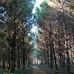Casa De Verdes - In De Bergantinos 3* San Pelayo