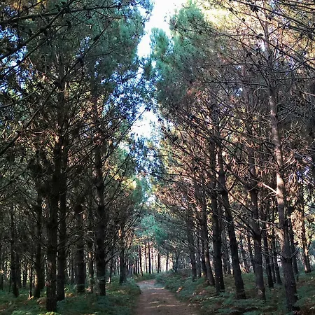 Casa De Verdes - In De Bergantinos 3* San Pelayo