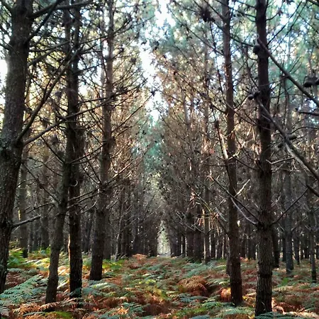 Casa De Verdes - In De Bergantinos Hotel 3*