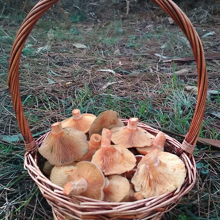 Hotel Casa De Verdes - In De Bergantinos San Pelayo