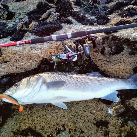 Casa De Verdes - In De Bergantinos Hotel 3*